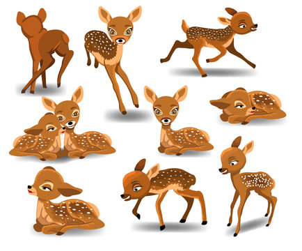 Cartoon Baby Deer Images – Browse 30,588 Stock Photos, Vectors, and Video |  Adobe Stock