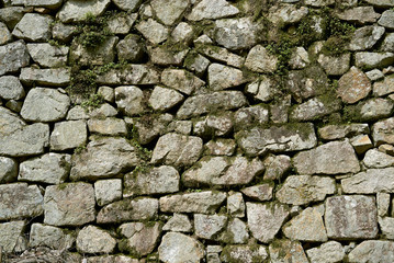 Stone wall of Japanese old castle (Matsuyama castle)