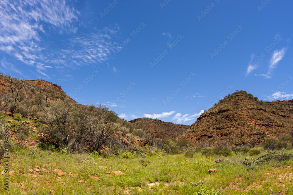 Wall mural kings canyon, northern territory, watarrka national park, australia