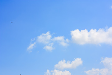 Naklejka na ściany i meble Fluffy cloud and small flying birds against blue sky background