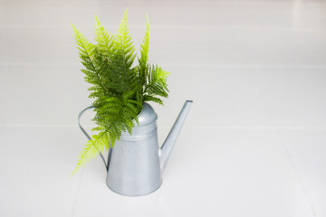 Vintage style watering can. Metal watering can with green fern.