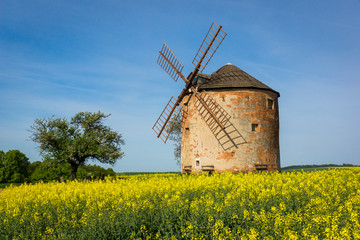 Old windmill and field rapeseed in Kunkovice village in South Moravia, Czech Republic