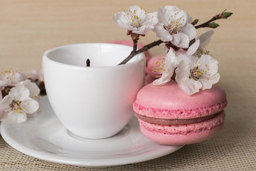 Pink macaroons with a cup of coffee and a branch of white flowers on a white background. French dessert and flowers blooming cherry. Sakura flowers with pink macaroon close up.