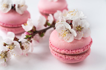 Fototapeta na wymiar Pink macaroons with a branch of white flowers on a white background. French dessert and flowers blooming cherry. Sakura flowers with pink macaron. Close up