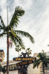 Rodeo Drive sign with palm trees in Beverly Hills