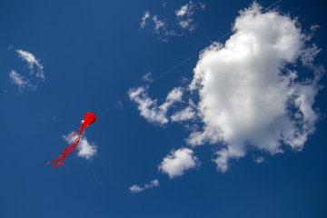 The kite flying in the form of squid flies high in the sky between the clouds