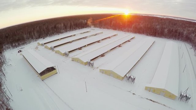 Poultry farm in winter in the evening. Aerial view.