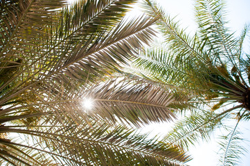  Palm Cornich Doha Qatar