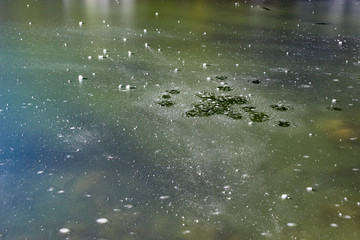 Lake Hintersee. Bavaria. Germany