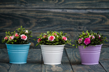 Fototapeta na wymiar Artificial Colorful Flowers in Decorative Flowerpots