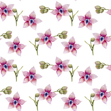 Watercolor pink orchids seamless pattern, hand painted on a white background