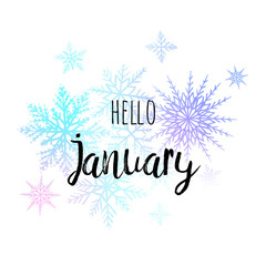 Fototapeta na wymiar Hello January poster with snowlakes on the white background. Motivational print for calendar, glider.