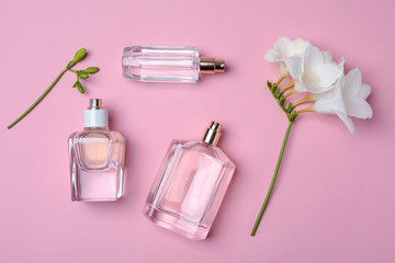 Bottles of perfume and flower on color background, top view