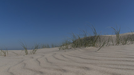 Strand bei Langeoog
