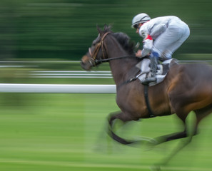 Scorching horse with jockey