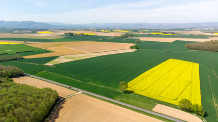 paysage de champs cultivés, verts et jaunes avec une route et des montagnes au fond