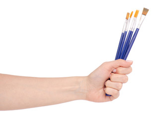 Brushes for drawing in a hand