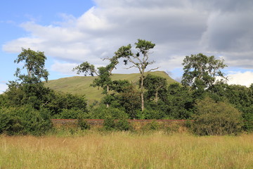 Obraz premium Blick von Schloss Kilchurn am Loch Awe in die Higlands von Schottland