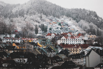 SnowCity