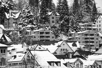 Aerial view of residential homes covered in snow. Winter in St Gallen, Switzerland. Black and white