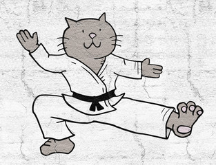 karate cat