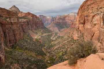 Canyon overlook at Zion National Park