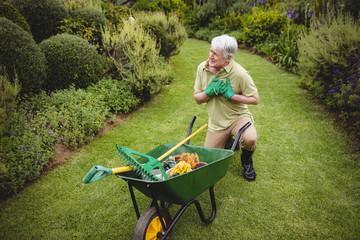 Senior man suffering from pain while gardening