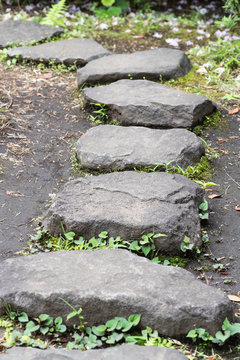 Stone path in Japanese garden
