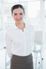 Portrait of an elegant businesswoman in office