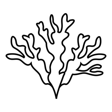 Seaweed Icon. Outline Illustration Of Seaweed Vector Icon For Web