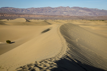 view of the mesquite sand dunes in death valley national park near sunset with footprints in the sand