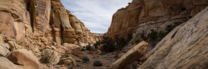 Fototapeta na wymiar viewpoint of capitol reef national park in utah in the spring time with clear blue skies, rock outcrops, canyons, narrows and juniper trees