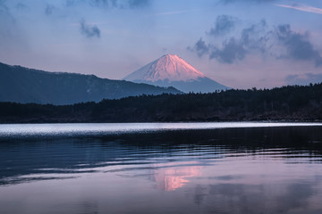 Mountain Fuji and Saiko lake in spring season