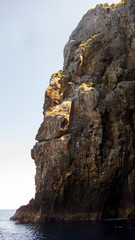 Meer, Sommer, Tauchen, Urlaub, Neusseland