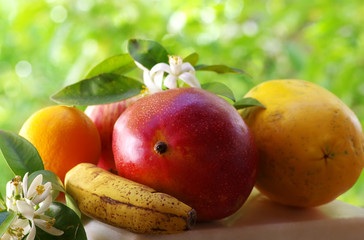 Fototapeta na wymiar exotic fruits, citrus flowers and leaves
