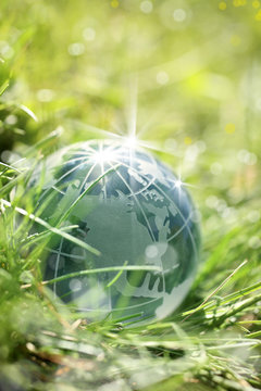 glass globe on green grass