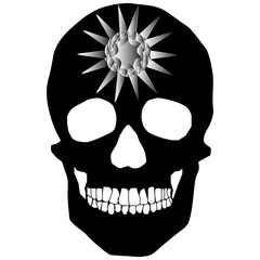 Human Skull Geometry and design