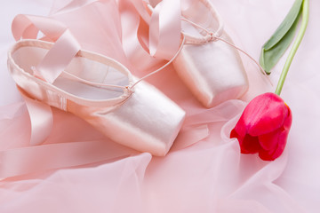 Ballet shoes with tulip flower 