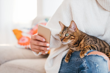 pet and owner communication. human and animal friendship. girl showing a picture on the phone to...