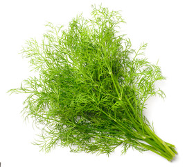 fresh dill weed isolated on white