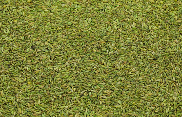Healthy Fennel Seed or Saunf Indian Traditional Digestive Food.