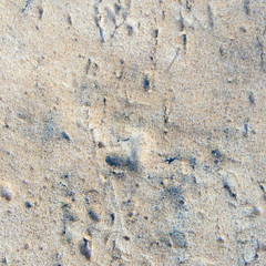 Sand Texture