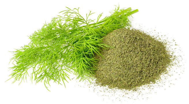 Dried Dill Weed And Fresh Dill Weed Isolated On White