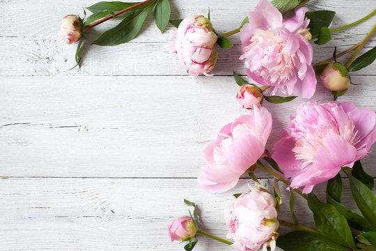 Pink peonies on a wooden background