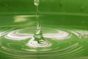 Water drop on a green background