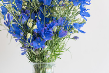 Close up of blue delphinium flowers in glass vase against neutral wall background (selective focus)