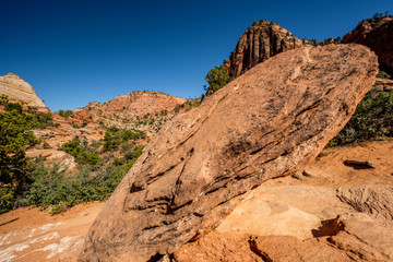 Landscape in Zion National Park