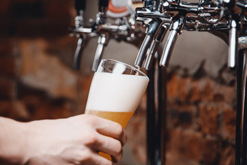 Fototapeta na wymiar Close-up of barman holds light cold filtered beer in glass beaker.