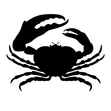 crab vector illustration  front side black silhouette