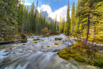 River near Moraine lake in Banff National Park, Canada,  Valley of the Ten Peaks